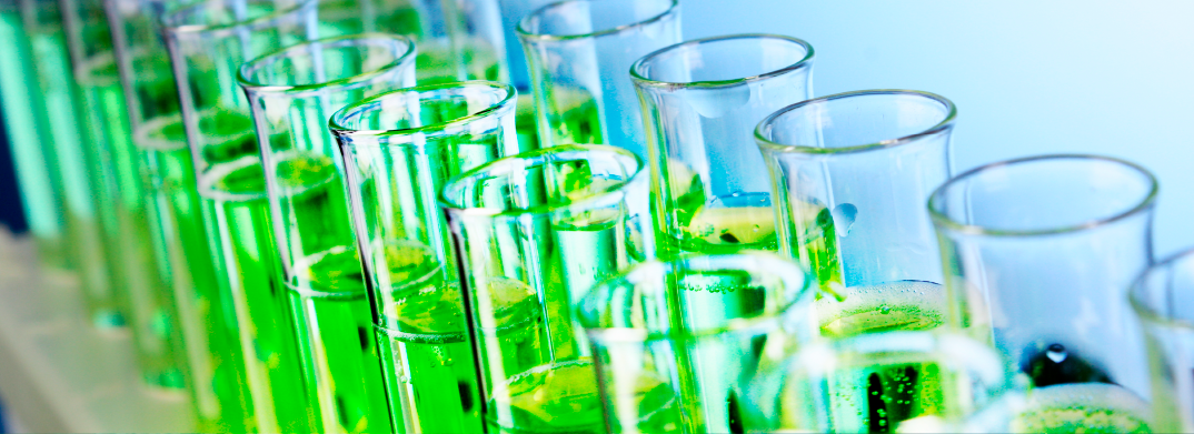 Banner principal de Neptunus Biotech - Empresa de biotecnología de microalgas