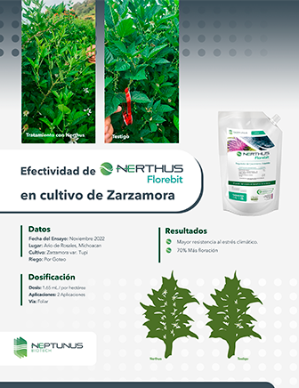 Caso de éxito Zarzamora con Nerthus Florebit