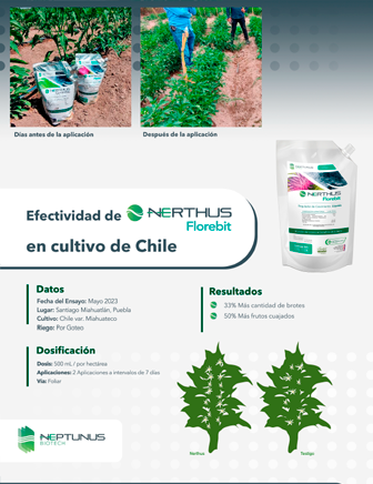Caso de éxito Chile con Nerthus Florebit