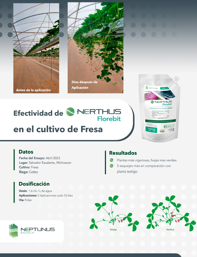 Caso de éxito Fresa con Nerthus (Archivo Fresa)