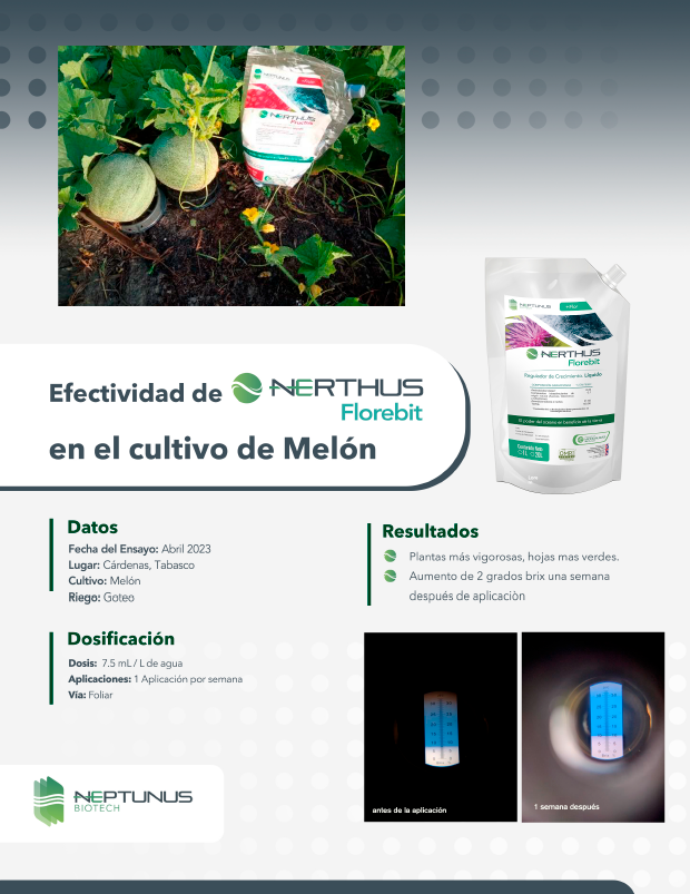Caso de éxito Melón con Nerthus (Archivo Melón)