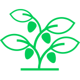 Icono aumento de productividad - Beneficio microalgas